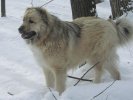 lothar 03040203.jpg