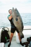 104grouper.jpg