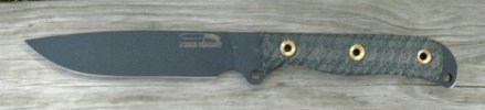 busse sj cg.jpg
