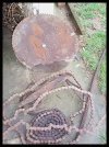 chain.jpg