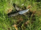 CamoCordwrapResized.jpg