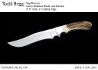 begg-recurve-copy_med.jpg