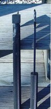 DSC00223.jpg