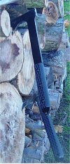 DSC00225.jpg