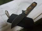 blackshark0.JPG