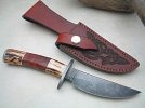 TRAILING POINT ANTIQUED-STAG-MAPLE BURL @ 8.JPG