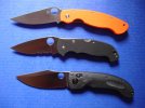 spydie 1.jpg