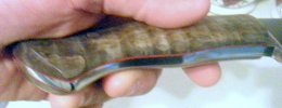 20130826_205448-001.jpg