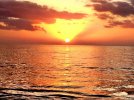 IMG_0017.jpg