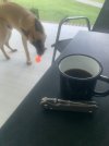 IMG_6534.jpeg