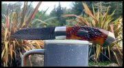 IMG_9453.jpeg