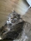 IMG_1991.jpeg