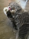 IMG_1997.jpeg