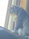IMG_2001.jpeg