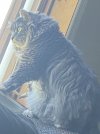 IMG_2017.jpeg