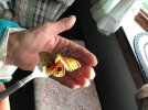 IMG_3202.jpeg