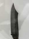 20230905_091546.jpg
