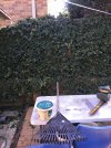 IMG20230906101315.jpg
