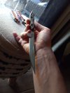 20230906_125836.jpg