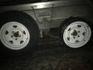 IMG_2144.jpeg