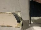IMG_2059.jpeg