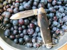 grapes.collander.jpeg