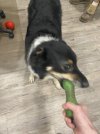 IMG_2054.jpeg
