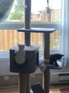 IMG_2055.jpeg