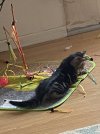 IMG_2056.jpeg