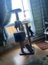 IMG_2057.jpeg