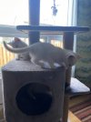 IMG_2058.jpeg