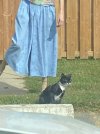 IMG_2067.jpeg