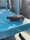 IMG_4892.jpeg