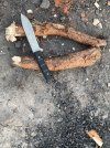 IMG_7738.jpeg
