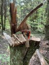 IMG_5510.jpeg