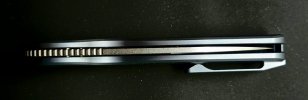 EDZ-7.jpg