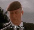 1694308106837.gif