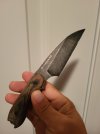 20230909_094233.jpg 20230909_094233.jpg