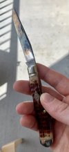 IMG_2896.jpeg