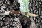 Buck501s35vn-20.JPG
