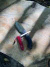 IMG_6179.jpeg