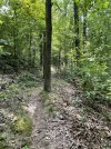IMG_6187.jpeg