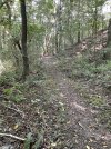IMG_6181.jpeg