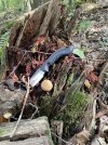IMG_6182.jpeg