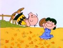 lucy-football2.jpg