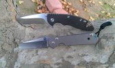 Todays carry.jpg