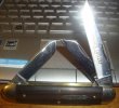DSC01938.jpg