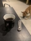 IMG_6763.jpeg