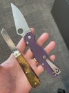 IMG_6284.jpeg