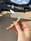 Thiers juniperc.jpg